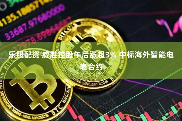 乐股配资 威胜控股午后涨超3% 中标海外智能电表合约