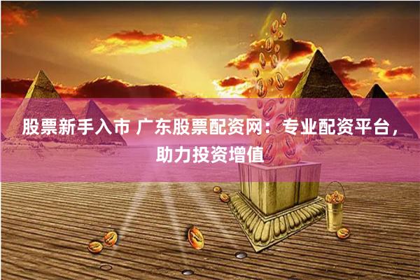 股票新手入市 广东股票配资网：专业配资平台，助力投资增值
