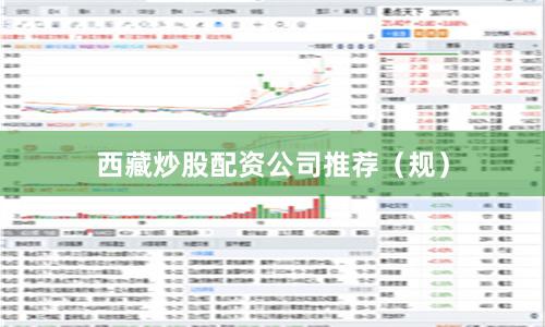 西藏炒股配资公司推荐（规）